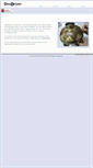Mobile Screenshot of decoriumusa.com